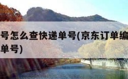 订单编号怎么查快递单号(京东订单编号怎么查快递单号)