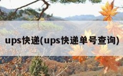 ups快递(ups快递单号查询)