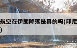 印尼鹰航空在伊朗降落是真的吗(印尼鹰航空难事件)