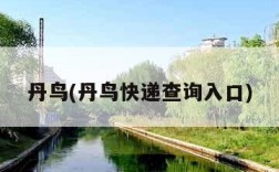 丹鸟(丹鸟快递查询入口)