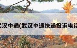 武汉中通(武汉中通快递投诉电话)