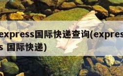 express国际快递查询(express 国际快递)