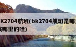 BK2704航班(bk2704航班是哪里飞哪里的哇)