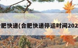 合肥快递(合肥快递停运时间2025)