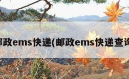 邮政ems快递(邮政ems快递查询)