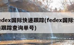 fedex国际快递跟踪(fedex国际快递跟踪查询单号)
