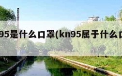 kn95是什么口罩(kn95属于什么口罩)
