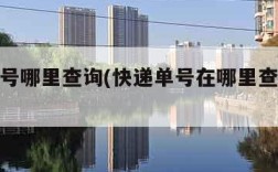 快递单号哪里查询(快递单号在哪里查询物流信息)