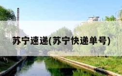 苏宁速递(苏宁快递单号)