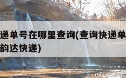 查询快递单号在哪里查询(查询快递单号在哪里查询韵达快递)