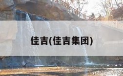 佳吉(佳吉集团)