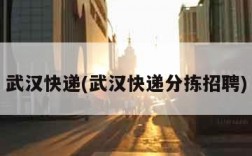 武汉快递(武汉快递分拣招聘)