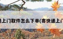 寄快递上门取件怎么下单(寄快递上门取件)