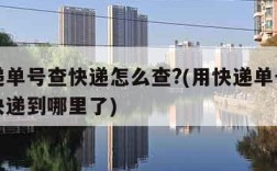 用快递单号查快递怎么查?(用快递单号怎样查询快递到哪里了)