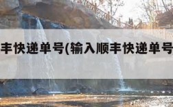 输入顺丰快递单号(输入顺丰快递单号查询官网)