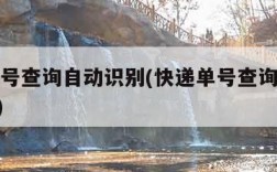 快递单号查询自动识别(快递单号查询自动识别100)