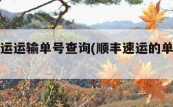 顺丰快运运输单号查询(顺丰速运的单号查询单号)