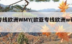 欧亚专线欧洲WMY(欧亚专线欧洲w码噜噜噜)