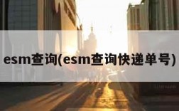 esm查询(esm查询快递单号)