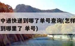 如何查中通快递到哪了单号查询(怎样查询中通快递到哪里了 单号)