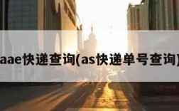 aae快递查询(as快递单号查询)