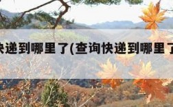 查询快递到哪里了(查询快递到哪里了 单号查询)