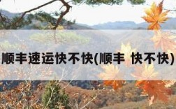 顺丰速运快不快(顺丰 快不快)