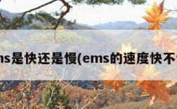 ems是快还是慢(ems的速度快不快)
