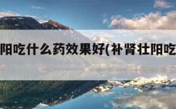 补肾壮阳吃什么药效果好(补肾壮阳吃什么泡水喝)