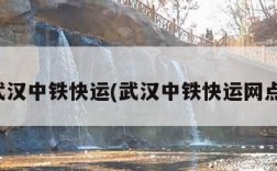 武汉中铁快运(武汉中铁快运网点)