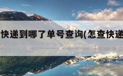 怎么查快递到哪了单号查询(怎查快递到哪里了)