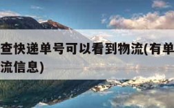 在哪里查快递单号可以看到物流(有单号怎么查询物流信息)