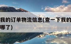 查一下我的订单物流信息(查一下我的订单号物流到哪了)