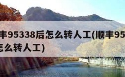 顺丰95338后怎么转人工(顺丰95538怎么转人工)