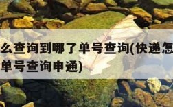 快递怎么查询到哪了单号查询(快递怎么查询到哪了单号查询申通)