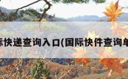 国际快递查询入口(国际快件查询单号)