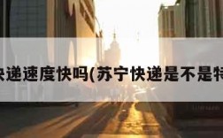 苏宁快递速度快吗(苏宁快递是不是特别慢)