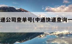 中通快递公司查单号(中通快递查询一下单号)