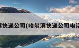 哈尔滨快递公司(哈尔滨快递公司电话大全)