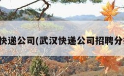 武汉快递公司(武汉快递公司招聘分拣员)