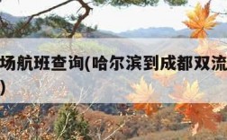 双流机场航班查询(哈尔滨到成都双流机场航班查询)