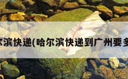 哈尔滨快递(哈尔滨快递到广州要多久)