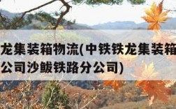 中铁铁龙集装箱物流(中铁铁龙集装箱物流股份有限公司沙鲅铁路分公司)