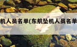 东航坠机人员名单(东航坠机人员名单画面曝光)