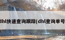 dhl快递查询跟踪(dhl查询单号)