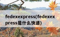fedexexpress(fedexexpress是什么快递)