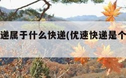 优速快递属于什么快递(优速快递是个什么快递)