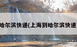 哈尔滨快递(上海到哈尔滨快递)