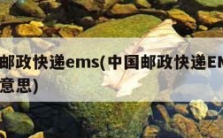 中国邮政快递ems(中国邮政快递EMS是什么意思)