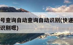 快递单号查询自动查询自动识别(快递单号查询自动识别嗯)